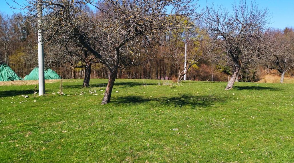 Predaj, unikátny stavebný pozemok - Nová Baňa (016-14-ZOLAa)