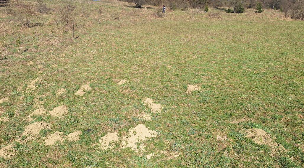 Stavebný pozemok v obci Chlebnice  1649m2 ID: 010-14-STSAa