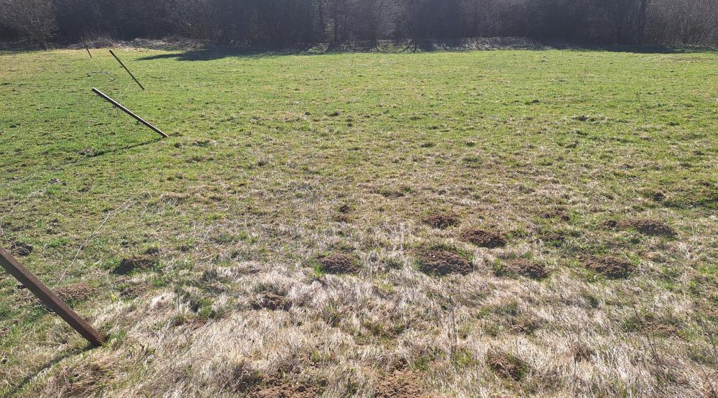 Stavebný pozemok v obci Chlebnice  1384m2 ID: 015-14-STSAa