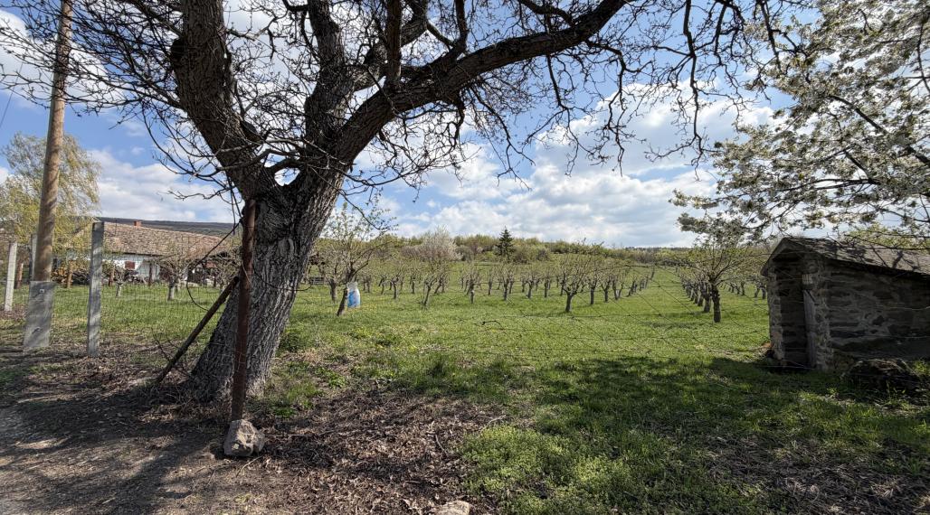 Pozemok vo výmere 4000 m2 v obci Fony- Maďarsko