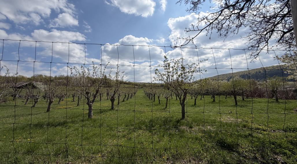 Stavebný pozemok v Maďarsku výmera 2000 m2 Fony