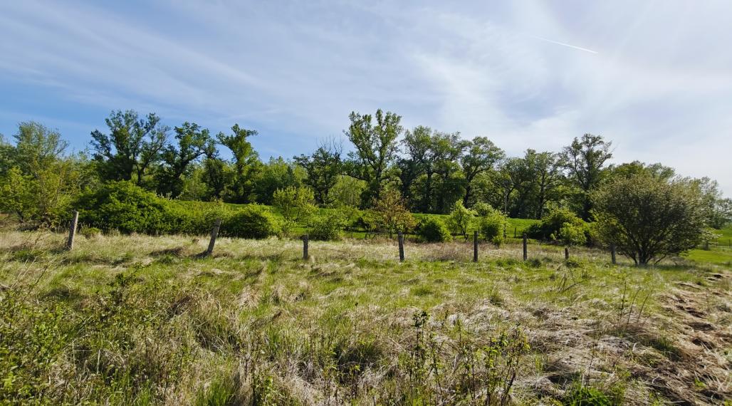 Stavebný pozemok - Vlčany okr.Šaľa 800M2 (027-14-JANS)