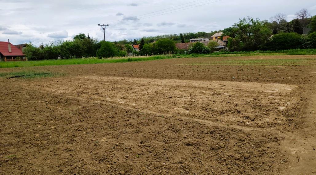 Predaj, pozemok - Bory (004-14-SIHA)