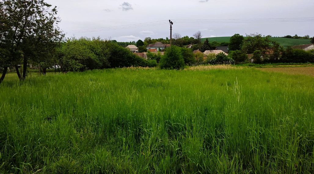 Predaj, stavebný pozemok 892 m²- Bory (002-14-SIHA)