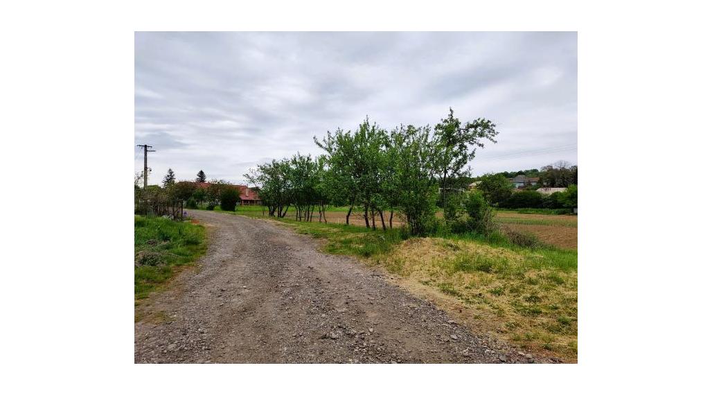 Predaj, pozemok - Bory  (003-14-SIHA)