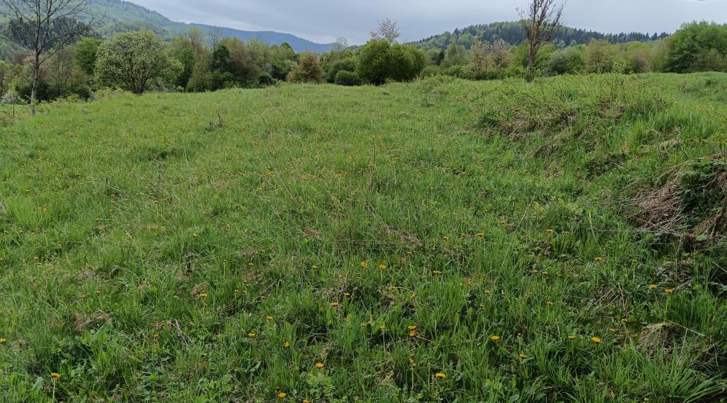 Predaj: Investičný pozemok, 1112m2, Terchová (260-14-MACH)