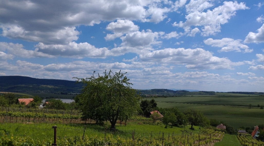 Exkluzívny rekreačný pozemok - Kozárovce (028-14-MIMI)