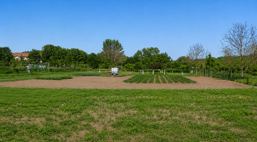 Predaj, Stavebný pozemok  v centre obce Bory–1 098 m² (045-14-SIHA)