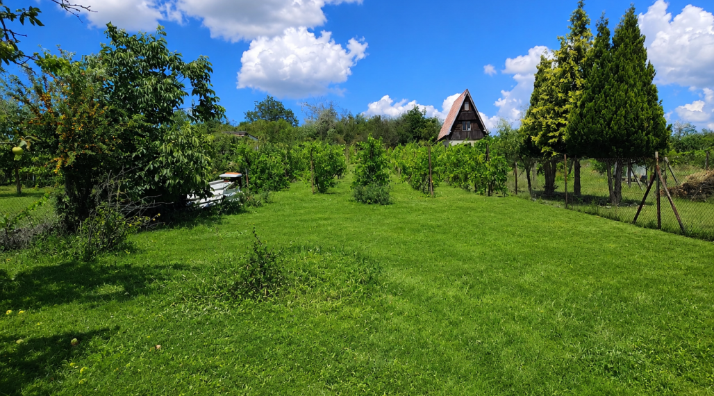 Predaj, pozemok Staré Levice (055-14-SIHA)