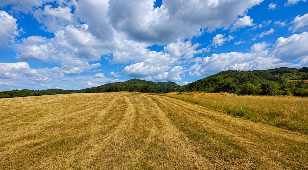 Predaj, stavebný pozemok - Horné Hámre (058-14-SIHA)