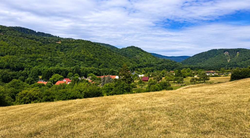 Predaj, stavebný pozemok - Horné Hámre (059-14-SIHA)