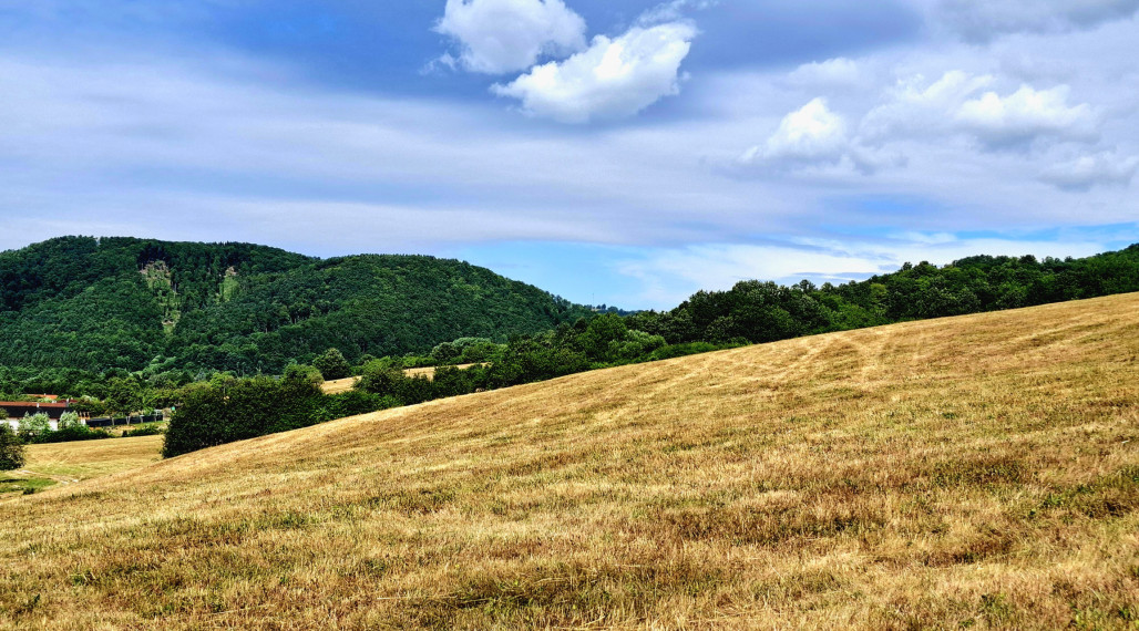Predaj, slnečný stavebný pozemok- Horné Hámre (026-14-ZOLA)