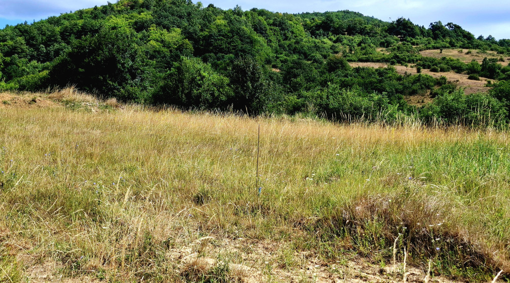Predaj- stavebný pozemok, Horné Hámre ( 027-14-ZOLA)