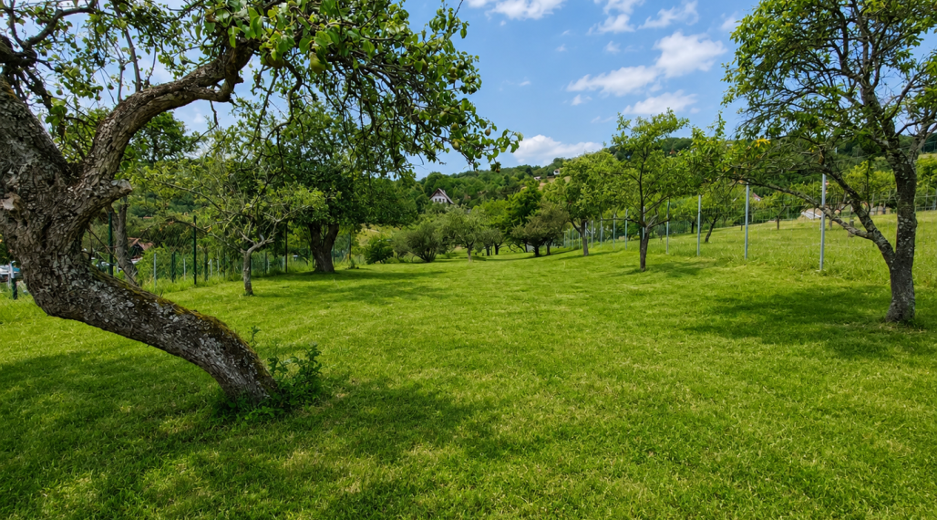 EXKLUZÍVNE, Stavebný pozemok 1 972 m² - Pukanec (062-12-SIHA)