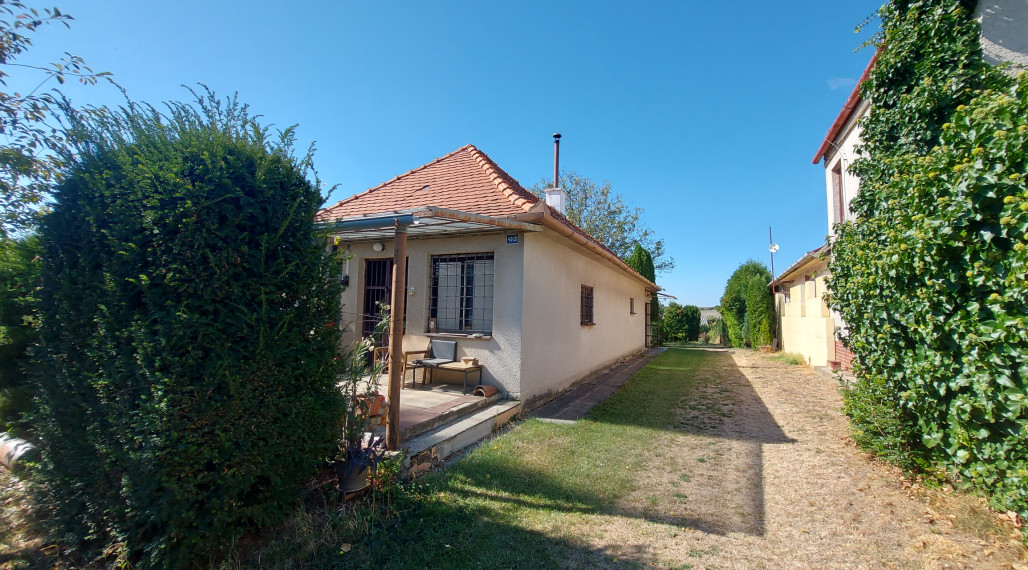 Predaj viničný domček s veľkým pozemkom 3829m2, Vráble(255-13-JUF)