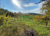 Pozemky Nitra Dražovce " pod Zoborom " ID 528-14-MIG - fotografia 2