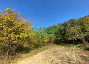 Pozemky Nitra Dražovce " pod Zoborom " ID 528-14-MIG - fotografia 19