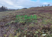 Predaj veľký stavebný pozemok v obci Malé Kršteňany - fotografia 11