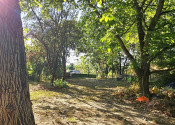 RODINNÝ DOM S VEĽKORYSÝM POZEMKOM 4182m2 - NA PREDAJ - fotografia 37