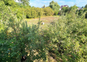 RODINNÝ DOM S VEĽKORYSÝM POZEMKOM 4182m2 - NA PREDAJ - fotografia 36