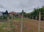 Predaj rodinný dom, veľký pozemok, obec Veľký Kýr  (1069-12-RP) - fotografia 12