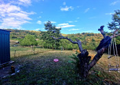 Predaj, záhradná chatka - Hronský Beňadik (038-13-ZOLA) - fotografia 7