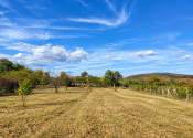 PREDAJ, POZEMOK V REKREAČNEJ OBLASTI RYBNÍK – 860 m² (066-14-SIHA) - fotografia 1