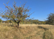 Predaj, rozľahlý pozemok - Nová Baňa (1269-14-AFI) - fotografia 4