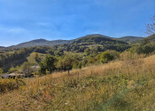 Predaj, rozľahlý pozemok - Nová Baňa (1269-14-AFI) - fotografia 11