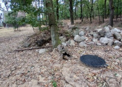 Krásny, veľký pozemok 10 000 m2 s mobilným domom, vinicou a ovocným sadom - Kozárovce (037-14-MIMI) - fotografia 7