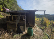Slnečná vinica a záhrada s chatkou Stará Tura Dubnik - fotografia 2