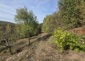 Slnečná vinica a záhrada s chatkou Stará Tura Dubnik - fotografia 15