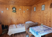 Slnečná vinica a záhrada s chatkou Stará Tura Dubnik - fotografia 5