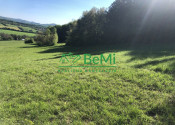 Predaj pozemkov – orná pôda 5 823 m² Bzince pod Javorinou - fotografia 2