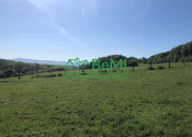 Predaj pozemkov – orná pôda 5 823 m² Bzince pod Javorinou - fotografia 4