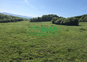 Predaj pozemkov – orná pôda 5 823 m² Bzince pod Javorinou - fotografia 5