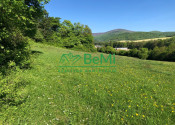 Predaj pozemkov – orná pôda 5 823 m² Bzince pod Javorinou - fotografia 6