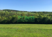 Predaj pozemkov – orná pôda 5 823 m² Bzince pod Javorinou - fotografia 7