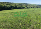 Predaj pozemkov – orná pôda 5 823 m² Bzince pod Javorinou - fotografia 8