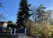 Predaj záhradná chatka s veľkým pozemkom v oblasti Boriny- Púšť (041-13-ZUPIE) - fotografia 19