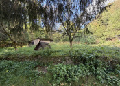Útulná chata so záhradou  v Rožňave, obec Nadabula-PREDAJ - fotografia 14