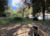 Útulná chata so záhradou  v Rožňave, obec Nadabula-PREDAJ - fotografia 5