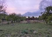 Predaj, stavebný pozemok -Sľažany (1271-14-AFI) - fotografia 3