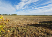 Predaj , orná pôda - Tomášov ,okres Senec (029-14-JANS) - fotografia 1