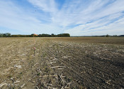 Predaj , orná pôda - Tomášov ,okres Senec (029-14-JANS) - fotografia 4