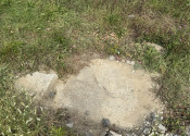 Slnečný stavebný pozemok v Bardejovskej Novej Vsi na predaj - fotografia 2
