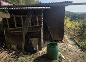 Slnečná vinica a záhrada s chatkou Stará Tura Dubnik - fotografia 3
