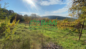 Pozemky Nitra Dražovce " pod Zoborom " ID 528-14-MIG - fotografia 2