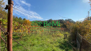 Pozemky Nitra Dražovce " pod Zoborom " ID 528-14-MIG - fotografia 5