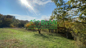 Pozemky Nitra Dražovce " pod Zoborom " ID 528-14-MIG - fotografia 7